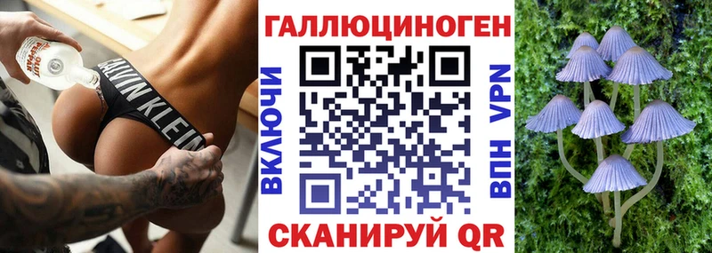 ссылка на мегу сайт  Макарьев  Псилоцибиновые грибы Cubensis 