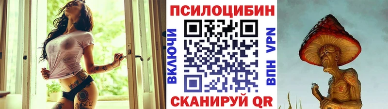 Псилоцибиновые грибы Psilocybe Макарьев